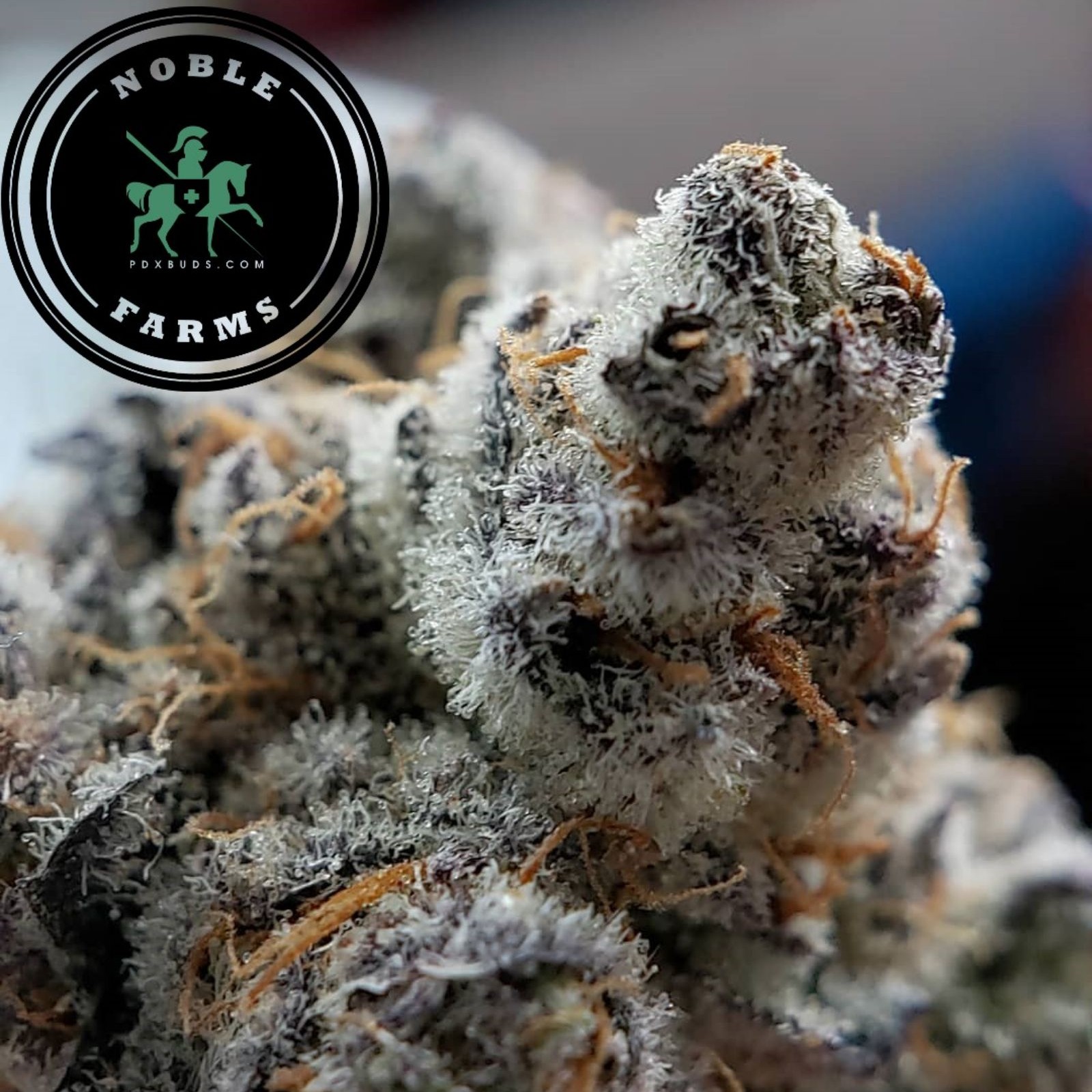 Wedding Cake Strain Buddha Boys Wedding Cake Buy Aaaa Quads In Canada